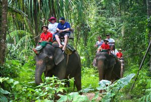 Phuket elephant trekking