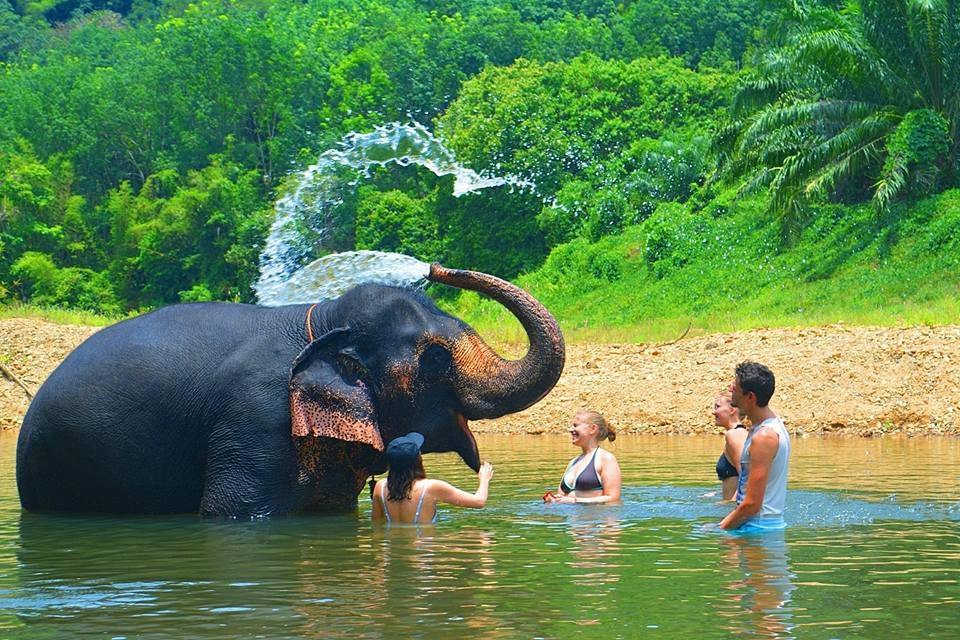 Phuket elephant Sanctuary park