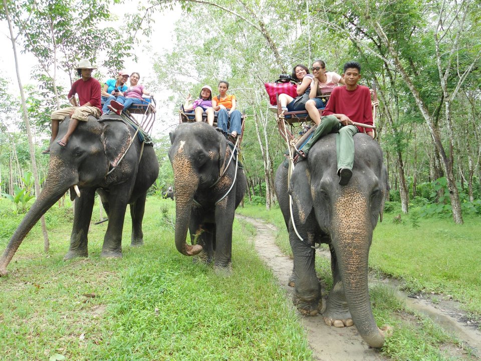 phuket elephant trekking