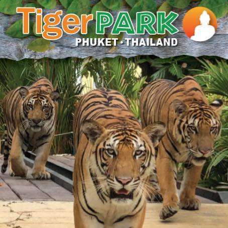 tiger park phuket