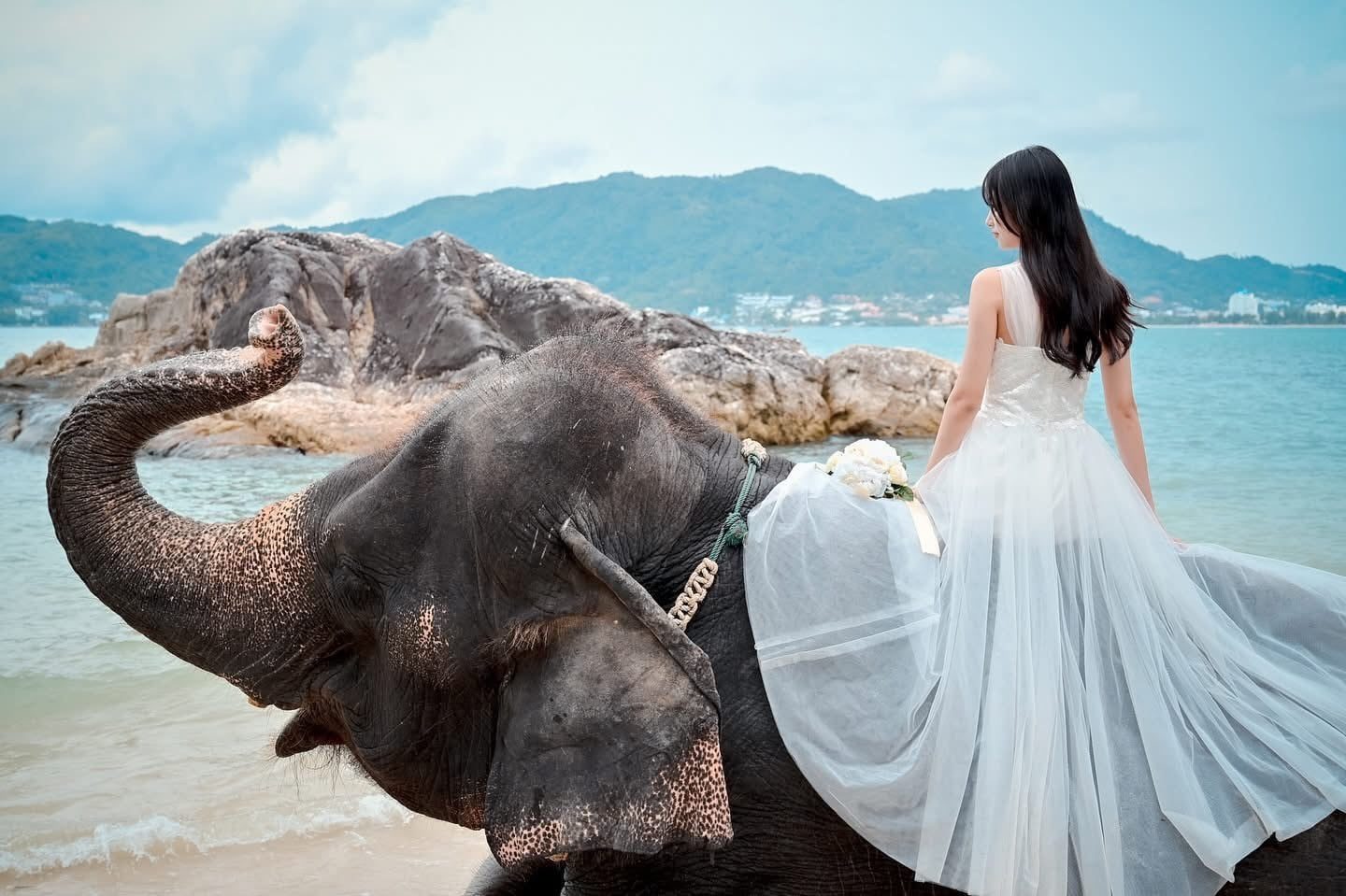 phuket elephant riding on the beach