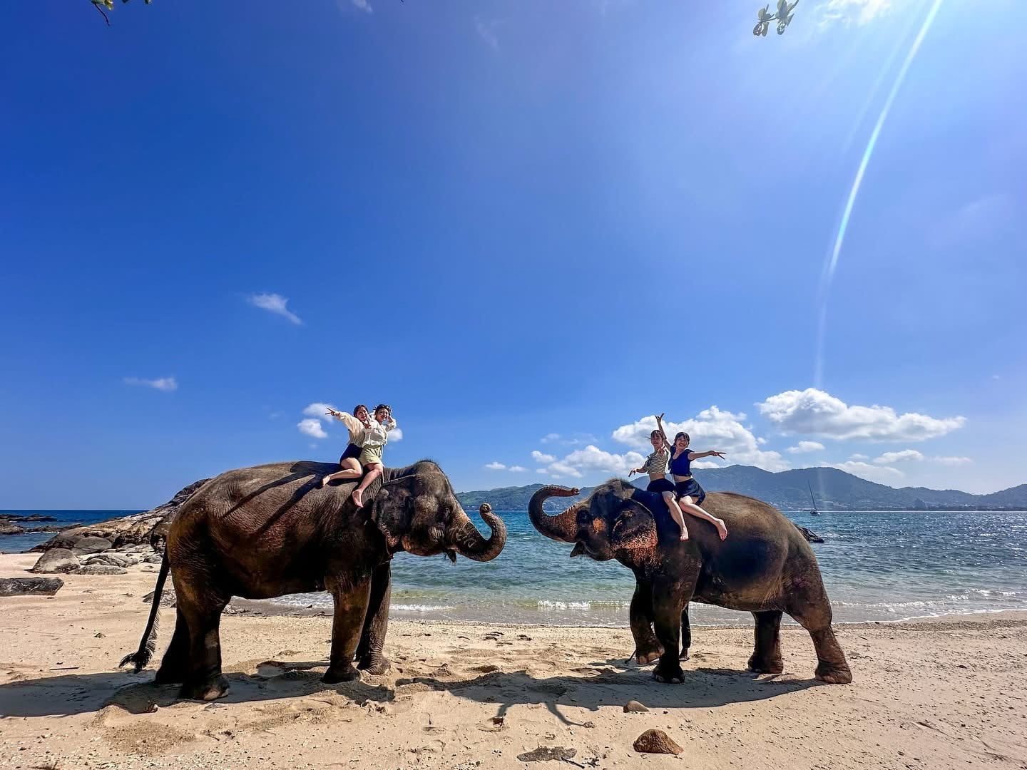 phuket elephant riding on the beach