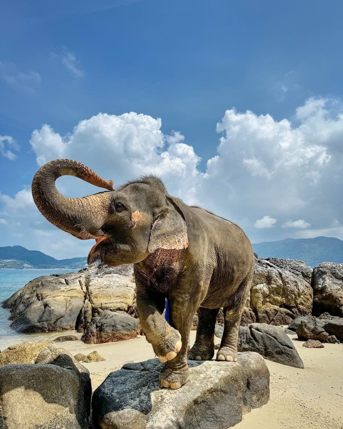 phuket elephant riding on the beach