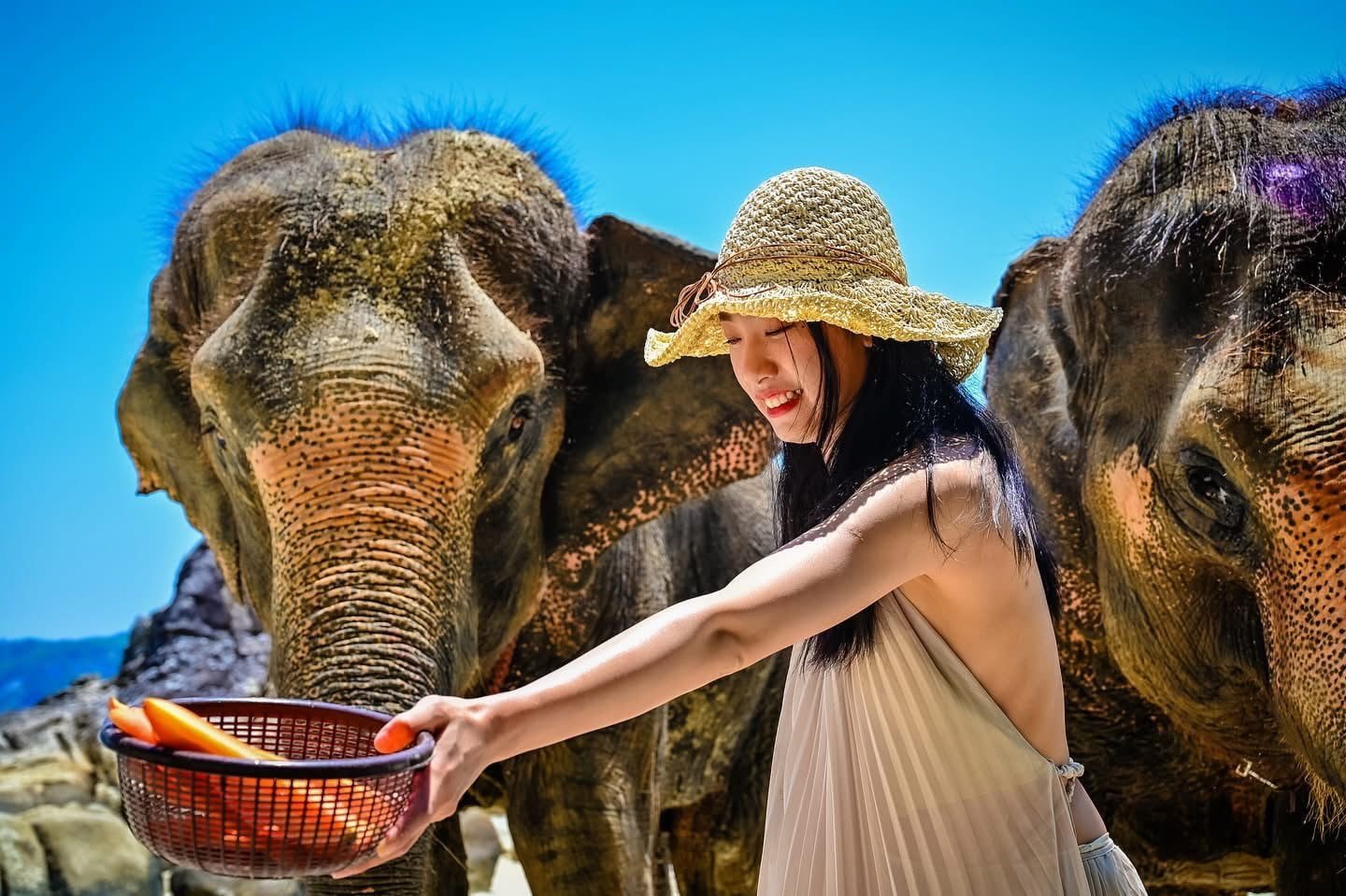 phuket elephant riding on the beach