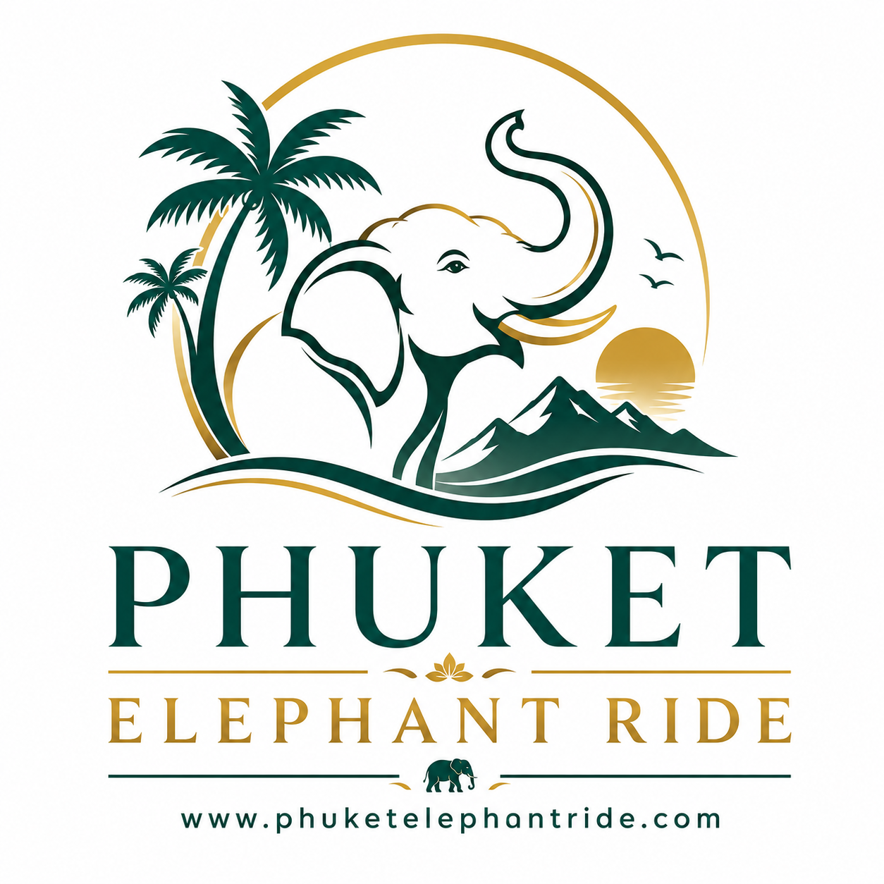 phuket elephant ride